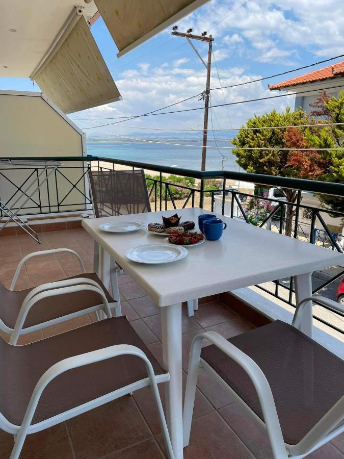 Starry Coast Apartments Νέα Ποτίδαια Εξωτερικό φωτογραφία